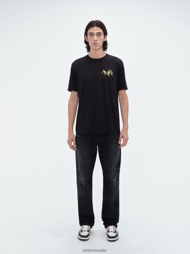 Clothing AMIRI Crystal Champagne Tee Black Men ZXNJX865