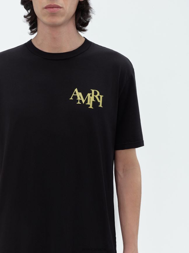 Clothing AMIRI Crystal Champagne Tee Black Men ZXNJX865