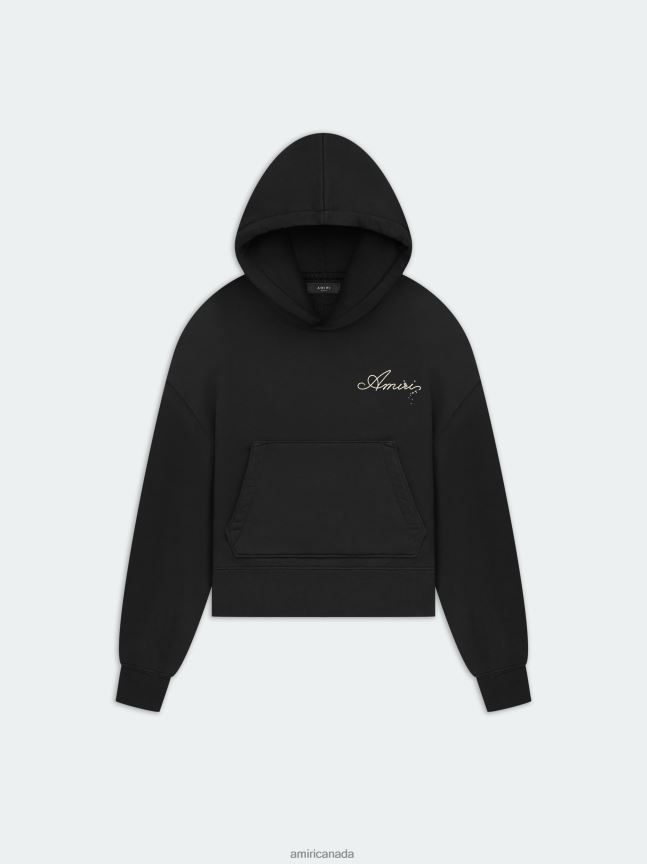 Clothing AMIRI Champagne Hoodie Black Women ZXNJX8279